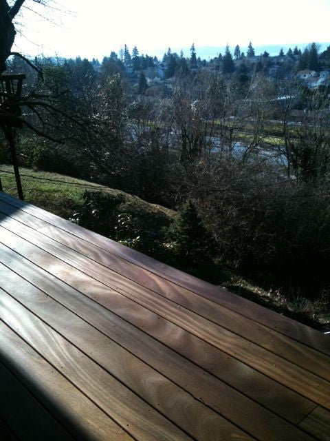 Designing it all, or: Why the Piersons have no deck railing